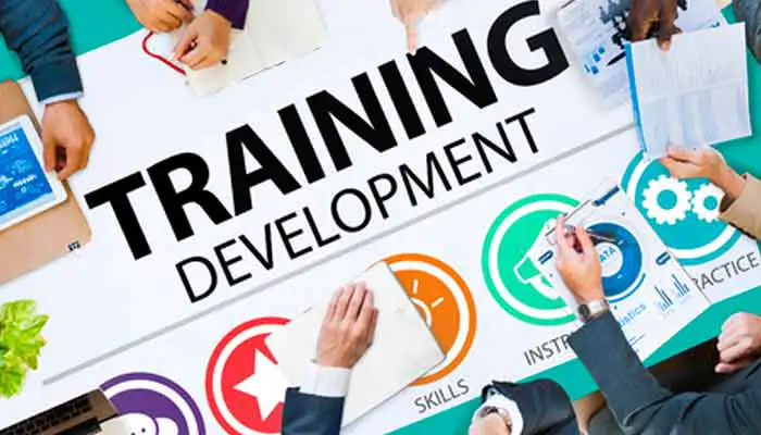Training & development Service